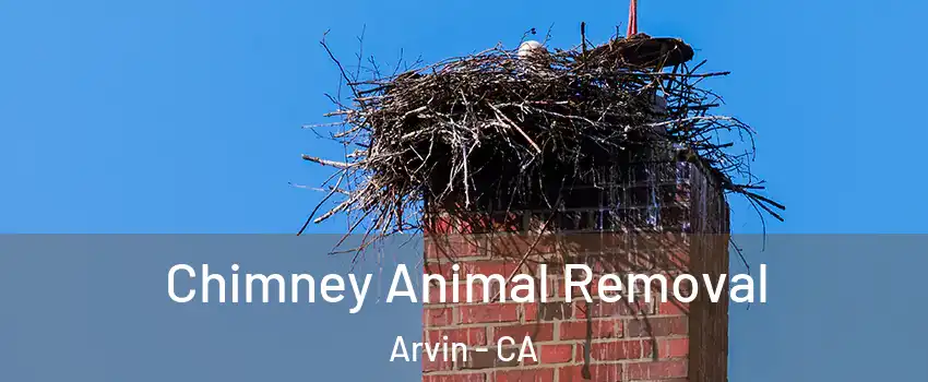  Chimney Animal Removal Arvin - CA