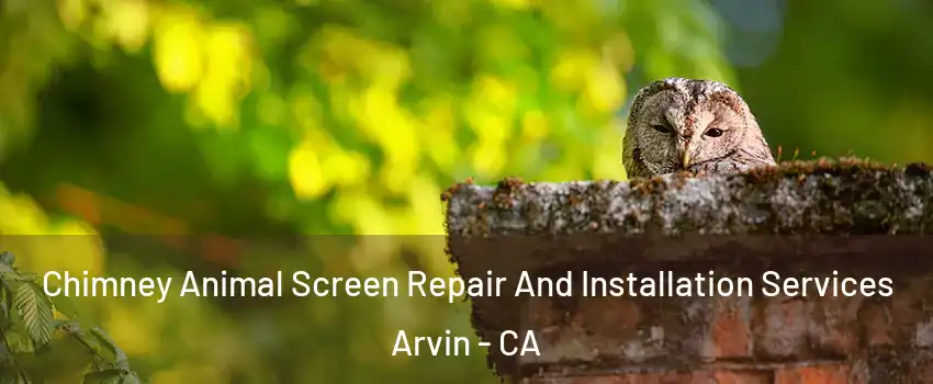  Chimney Animal Screen Repair And Installation Services Arvin - CA