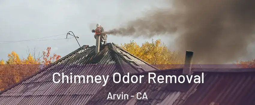  Chimney Odor Removal Arvin - CA