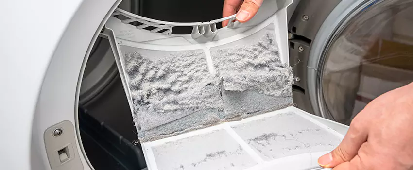 Best Dryer Lint Removal Company in Arvin, California