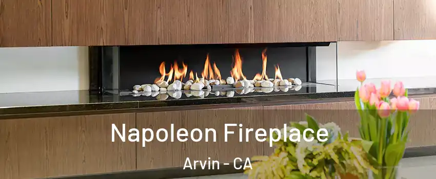  Napoleon Fireplace Arvin - CA